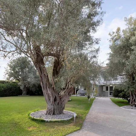 Apartament Elaia 2 *